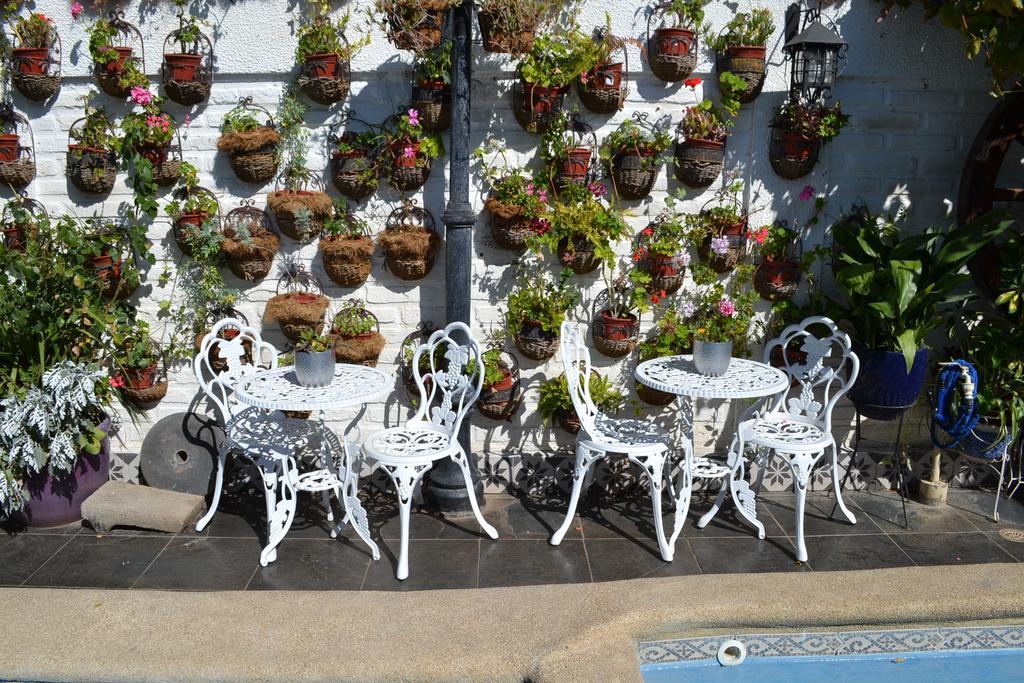 Hotel Vendimia Boutique Santa Cruz Εξωτερικό φωτογραφία